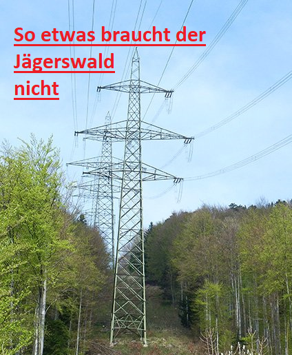 Keine Freileitung im Jägerswald